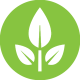 Plant-Based Materials