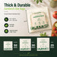 Compostable Food Storage Bags - Sandwich Size | 50 Count